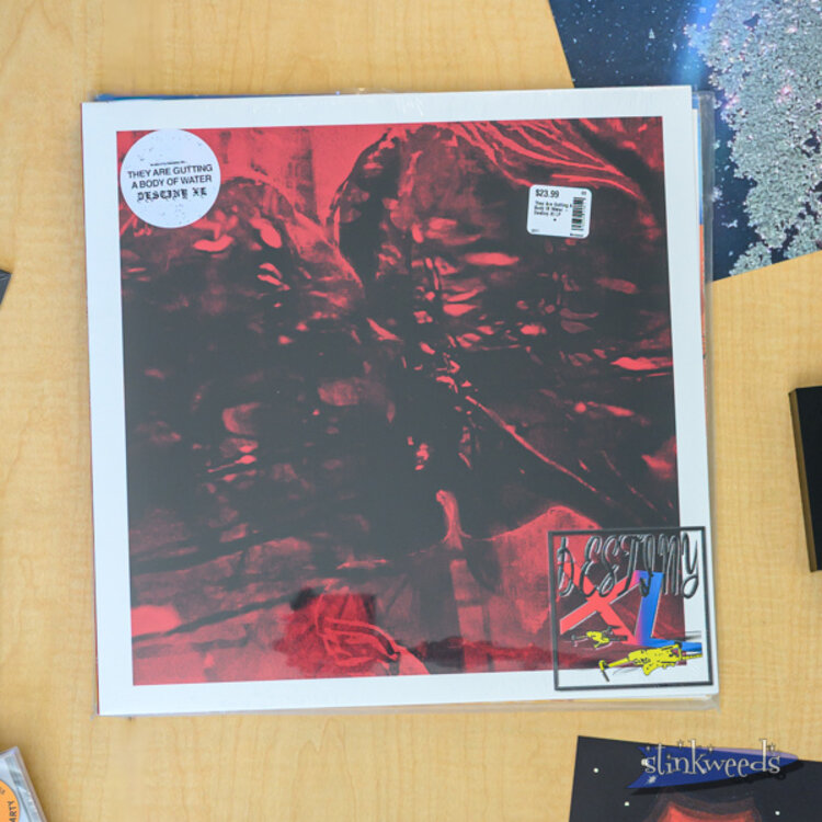 They Are Gutting A Body Of Water - Destiny Xl LP