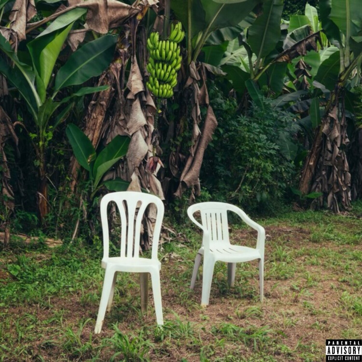 Bad Bunny - Debí Tirar Más Fotos 2LP (White Vinyl) - Stinkweeds