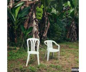 Bad Bunny - Debí Tirar Más Fotos 2LP (White Vinyl) - Stinkweeds