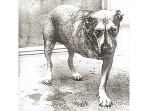 Rock / Indie / Alternative Alice in Chains - Alice in Chains 2LP (Anniversary Edition)