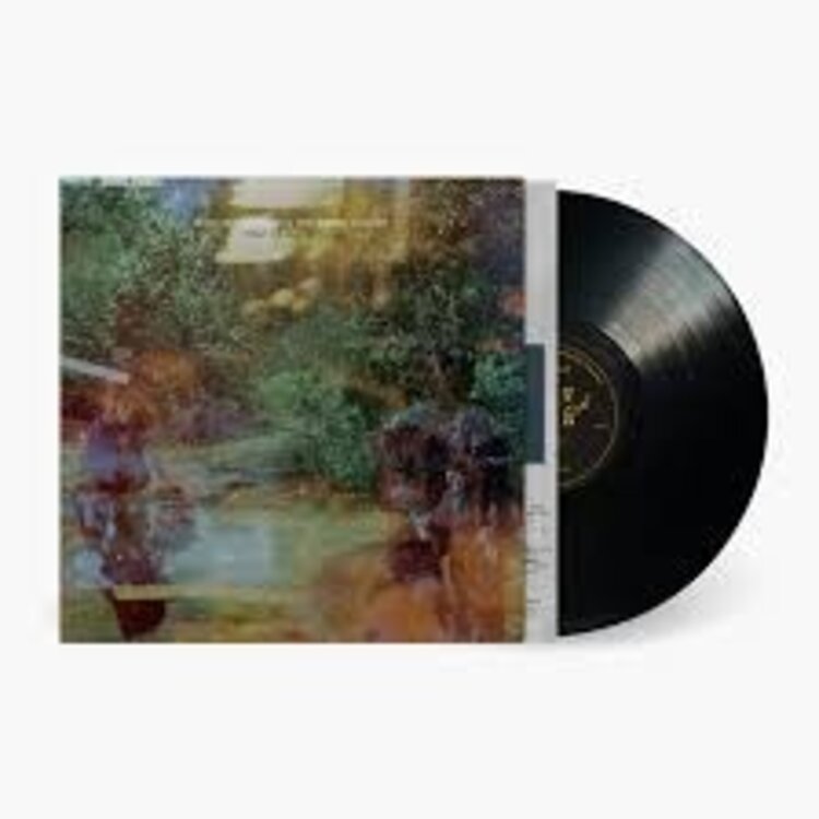 Rock / Indie / Alternative Heynderickx,Haley - What Of Our Nature LP