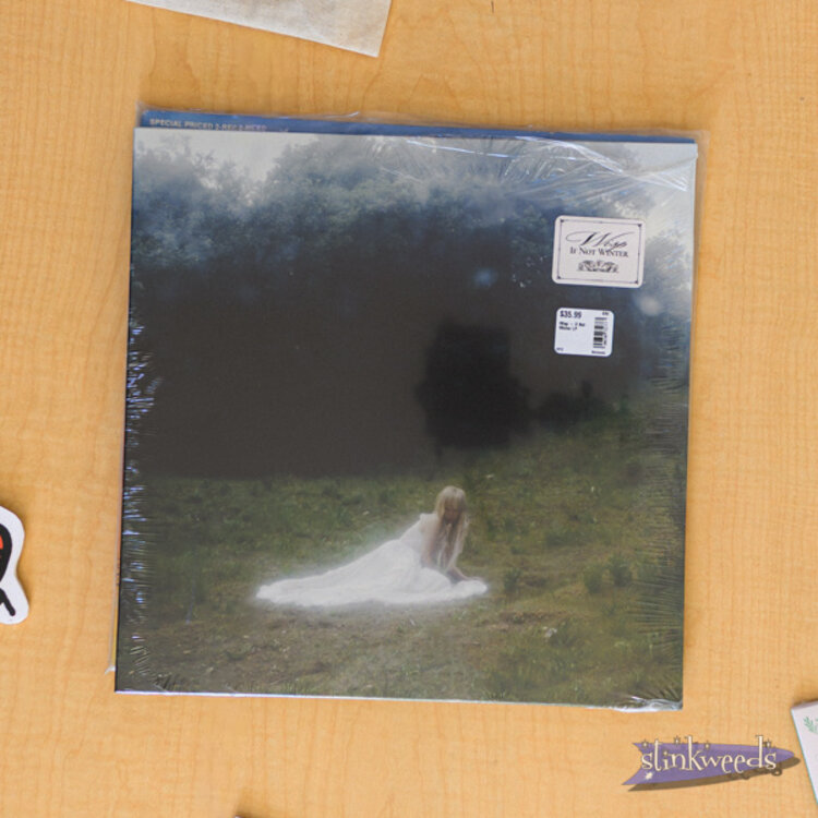 Rock / Indie / Alternative Wisp - If Not Winter LP