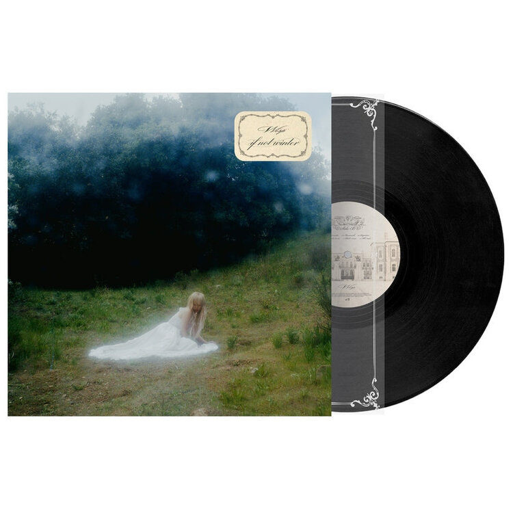 Rock / Indie / Alternative Wisp - If Not Winter LP