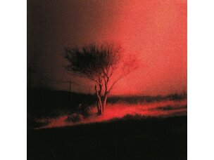 (2/6/26) Joji - Piss in the Wind LP (Indie)