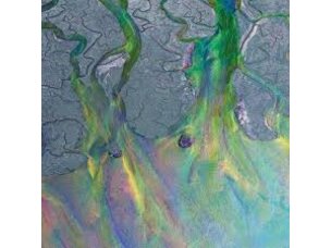 Rock / Indie / Alternative Alt-J - Awesome Wave (Syeor26) LP