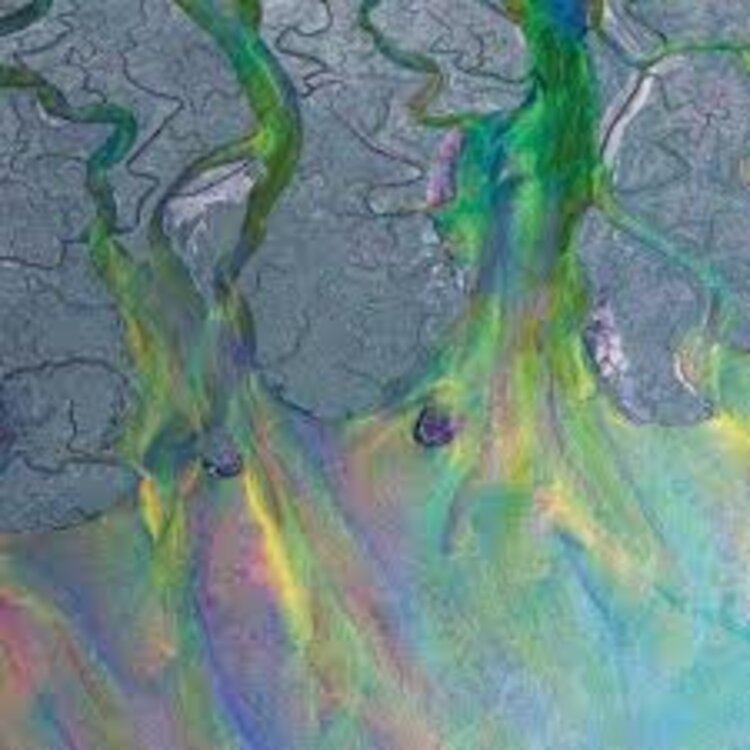 Alt-J - Awesome Wave (Syeor26) LP