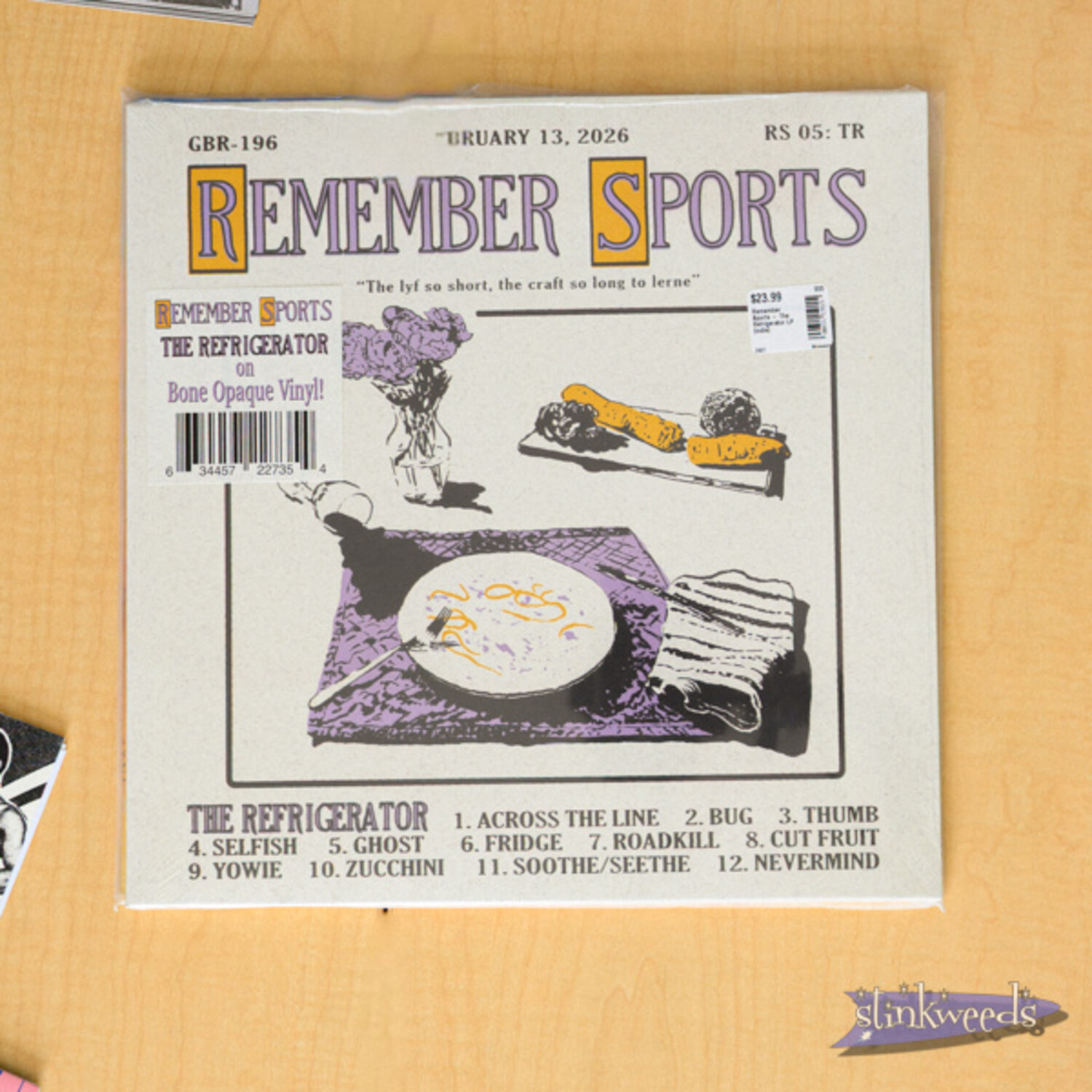 Remember Sports - The Refrigerator LP (indie) - Stinkweeds Records