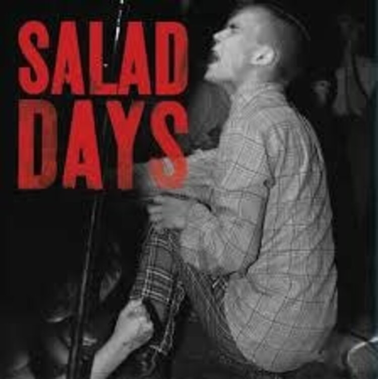 Various Artists - Salad Days: Music From The Documentary Film LP