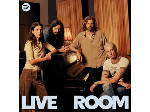 Wolf Alice - Wolf Alice - Spotify Live Room 7" Vinyl