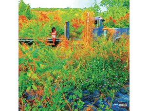 Jhene Aiko - Trip 2 x LP Picture Disc