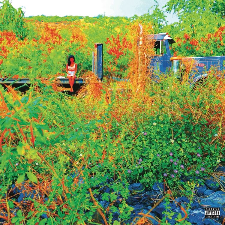 Jhene Aiko - Trip 2 x LP Picture Disc