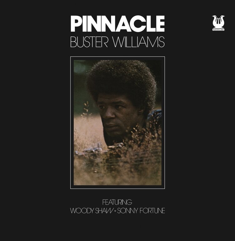 Buster Williams - Pinnacle LP