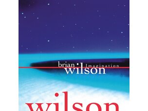 Brian Wilson - Imagination LP