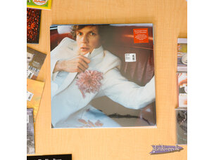 Beck / Everybody’s Gotta Learn Sometime LP