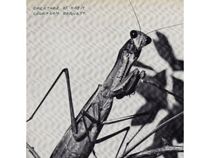 Courtney Barnett - Creature of Habit