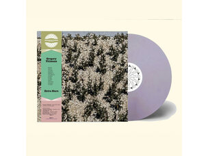 Gregory Uhlmann - Extra Stars