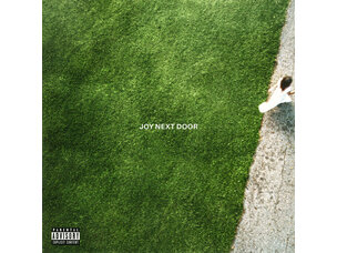 (4/10/26) The Maine - Joy Next Door (Green/White Vinyl)