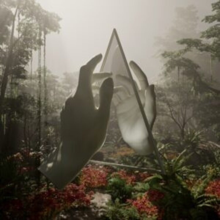Electronic Ladytron - Paradises (Iex) LP