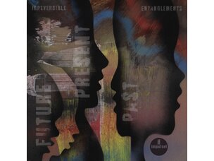 Irreversible Entanglements - Future Present Past LP