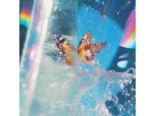 Daphni - Butterfly LP