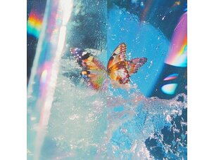Electronic Daphni - Butterfly LP