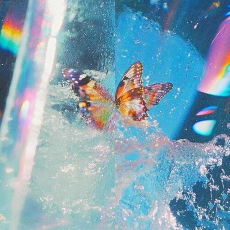 Electronic Daphni - Butterfly LP