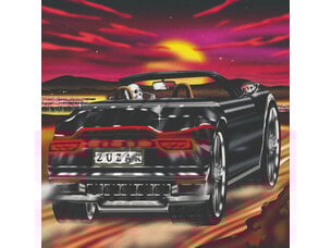 Damaged Bug – Zuzax LP