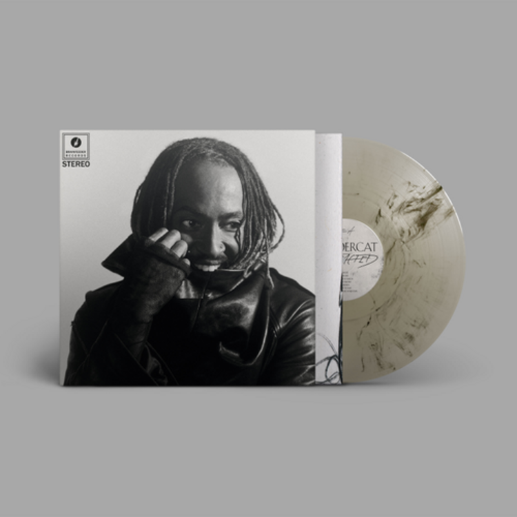 R&B / Soul / Funk Thundercat - Distracted LP (Indie)