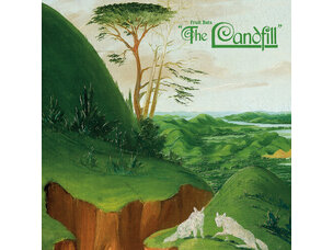 (6/12/26) Fruit Bats - The Landfill (pink splatter in clear)