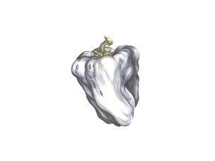 (5/8/26) Ween - White Pepper (green)