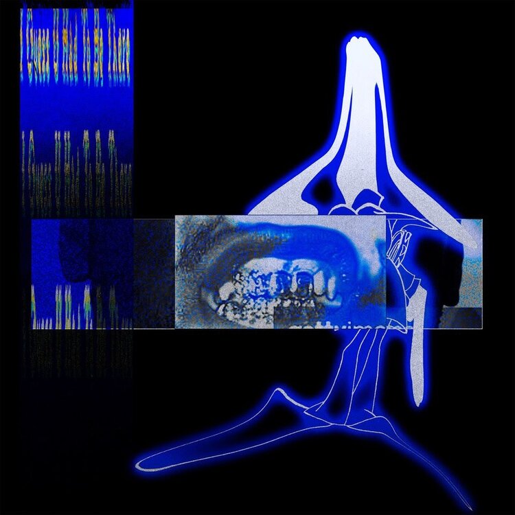 Elucid & Sebb Bash 'I Guess U Had To Be There' (Transparent Clear Vinyl LP)