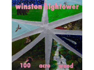 Rock / Indie / Alternative Winston Hightower '100 Acre Wood' LP