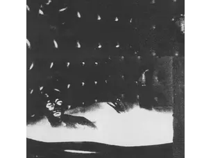 Rock / Indie / Alternative Cindy Lee - Malenkost LP
