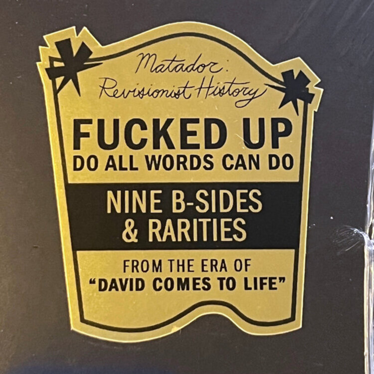Fucked Up - Do All Words Can Do LP