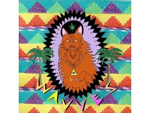 WAVVES - King of the Beach LP