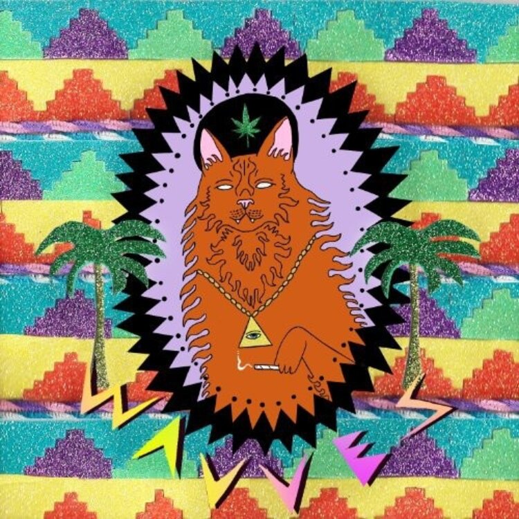 Rock / Indie / Alternative WAVVES - King of the Beach LP