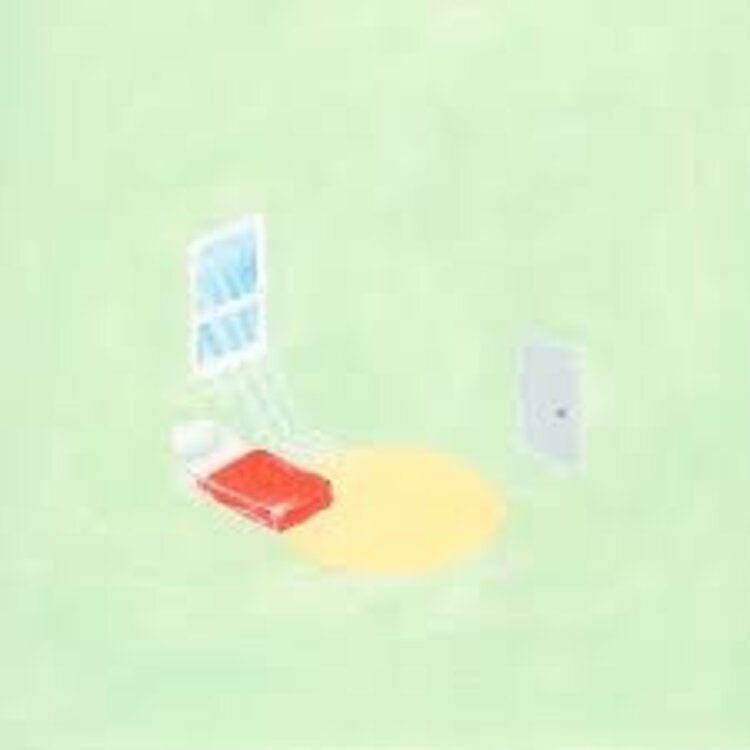 Florist - Birds Outside Sang... LP