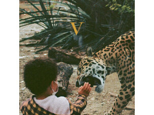 Rock / Indie / Alternative Unknown Mortal Orchestra 'V' 2xLP
