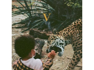 Unknown Mortal Orchestra 'V' 2xLP