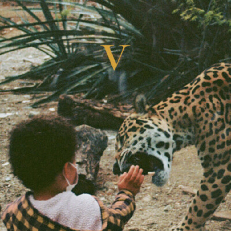 Rock / Indie / Alternative Unknown Mortal Orchestra 'V' 2xLP