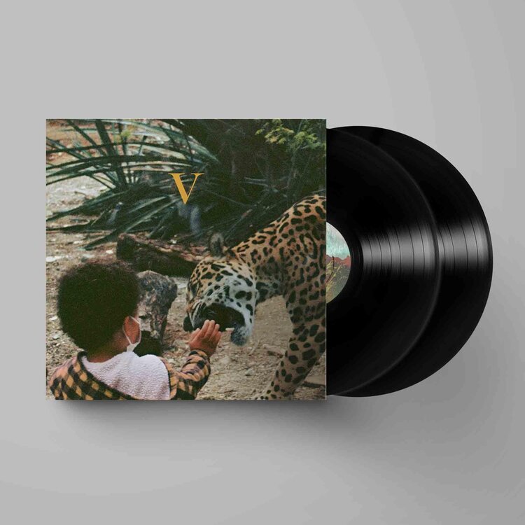 Unknown Mortal Orchestra 'V' 2xLP