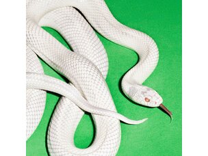 Deftones - Private Music (Silver)  LP