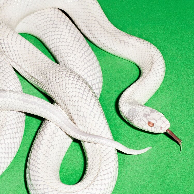 Deftones - Private Music (Silver)  LP