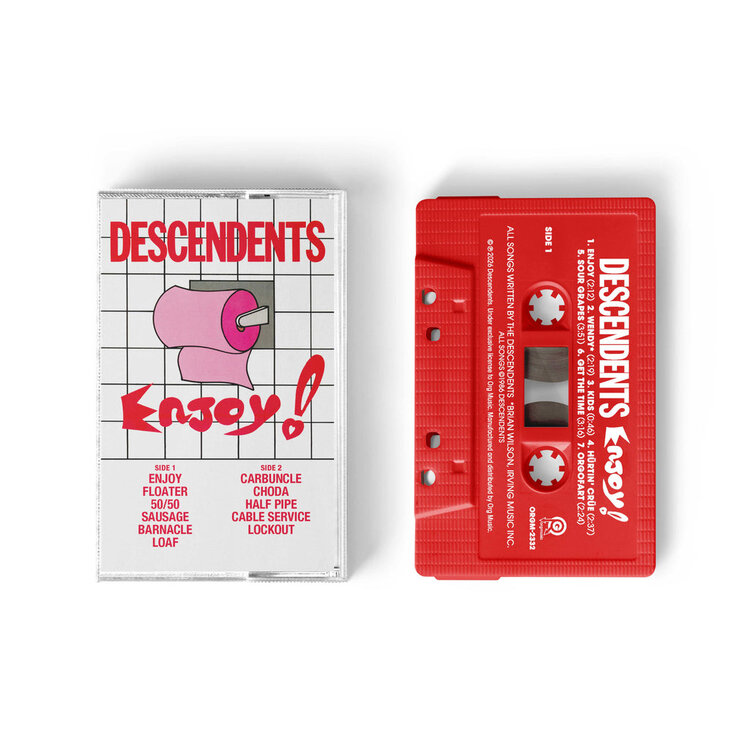punk Descendents - Enjoy!
