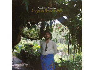 Rock / Songwriter Angelo De Augustine 'Angel in Plainclothes' LP