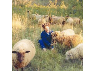 Resavoir - Themes For Dreams LP