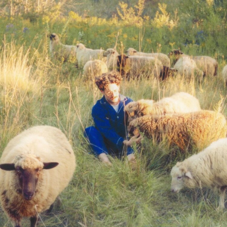 Resavoir - Themes For Dreams LP