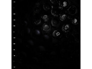 Rock / Indie / Alternative Crumb - Ice Melt LP