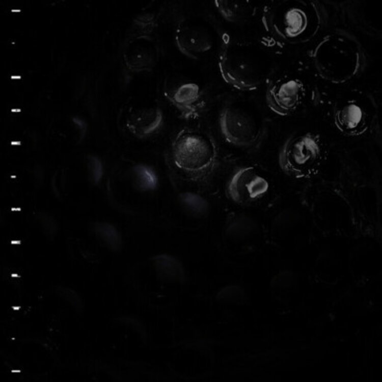 Rock / Indie / Alternative Crumb - Ice Melt LP