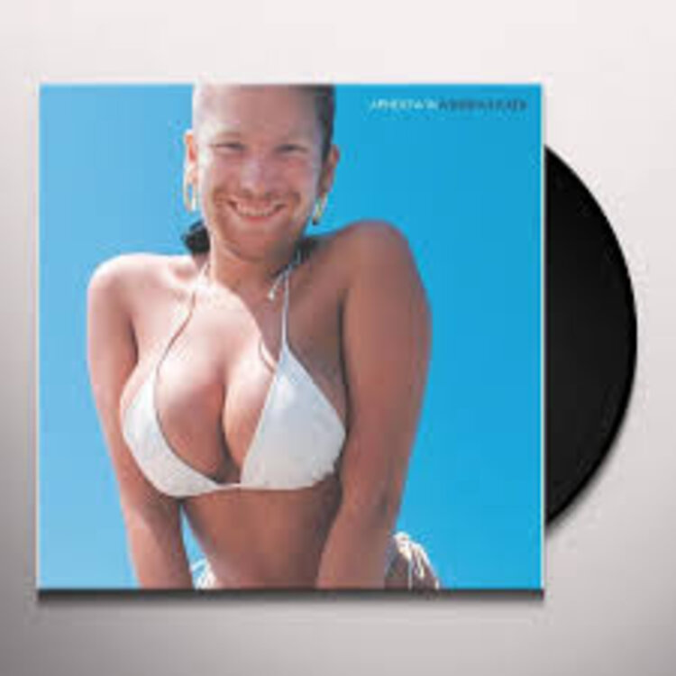 Electronic Aphex Twin - Windowlicker LP